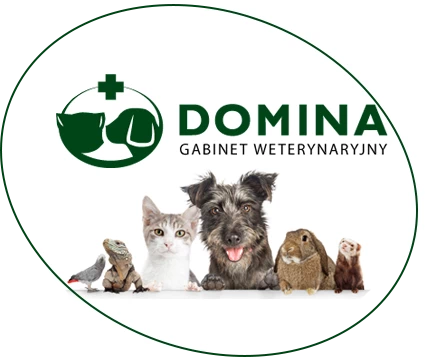 domina logo